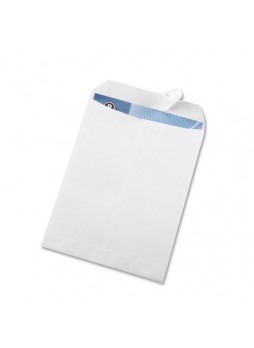 Business Source Removable Strip Catalog Envelopes, #10, Peel & Seal, White, Box of 100
